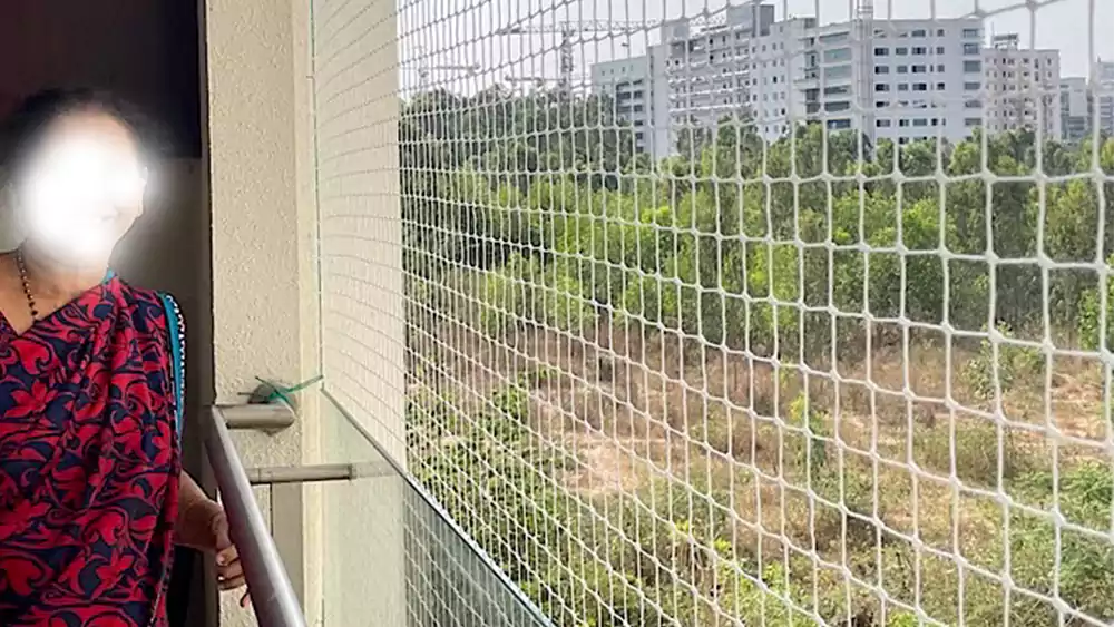 Pigeon Nets